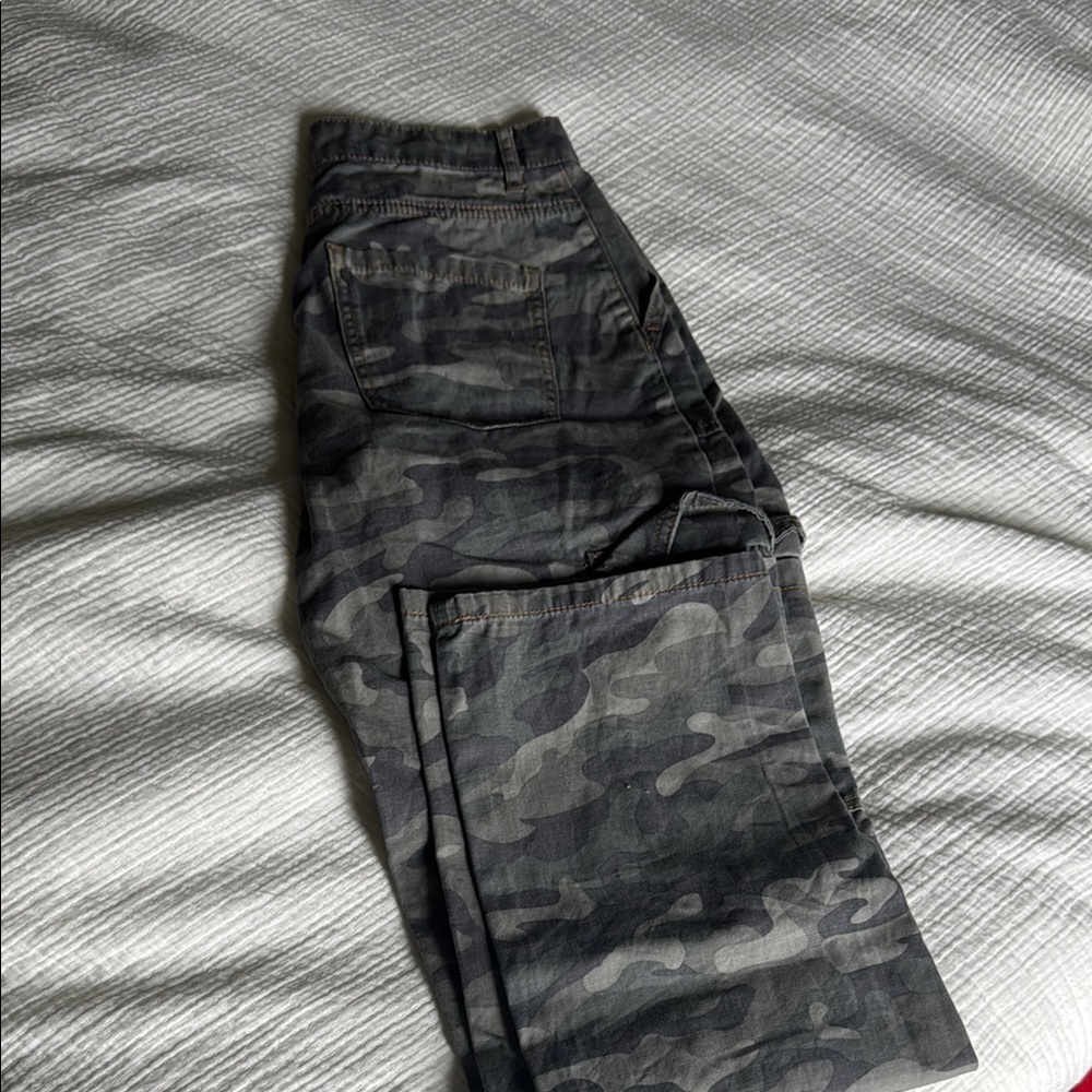 Sincerely Jules Green and Cream Straight Leg Pants